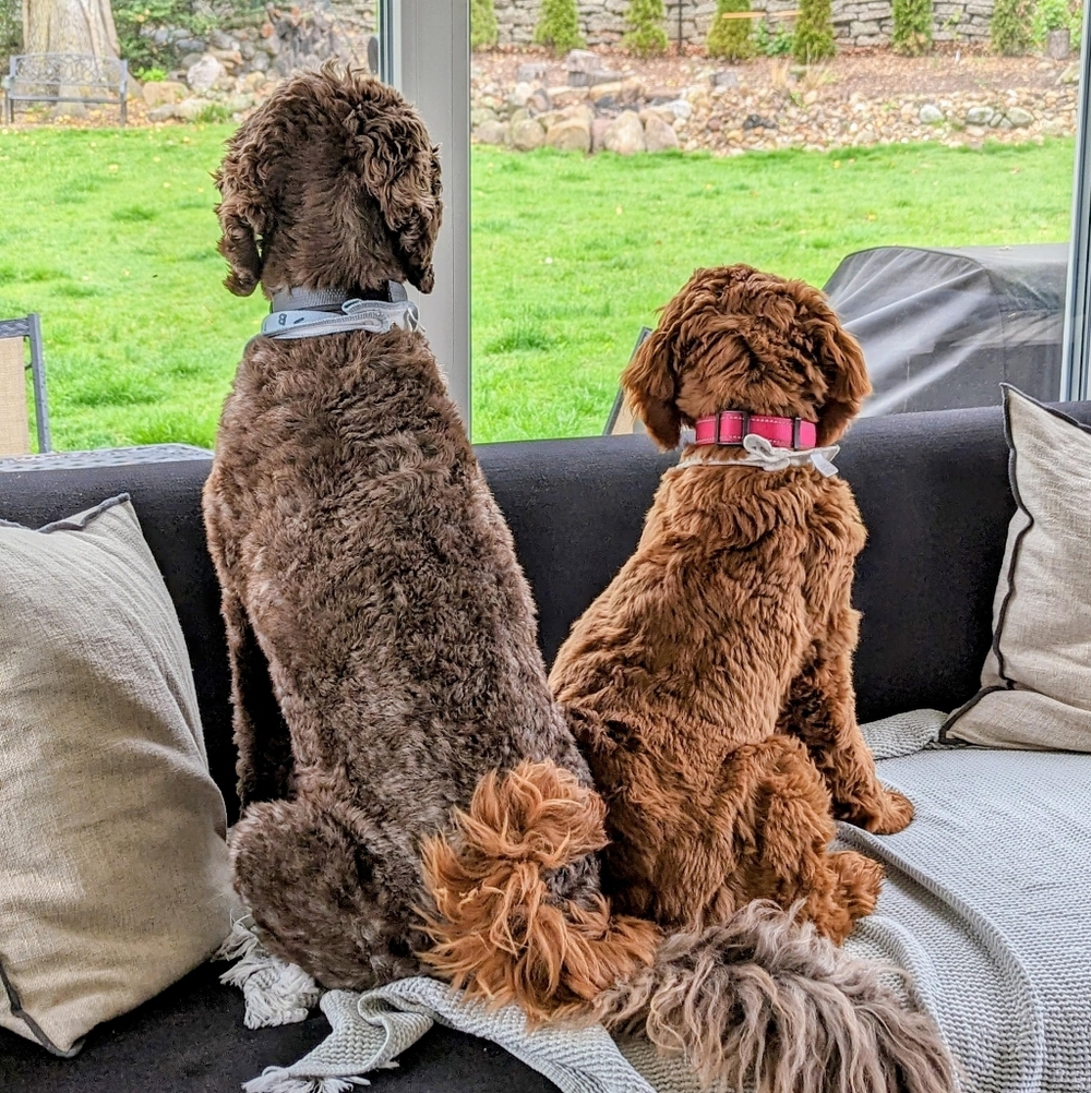 Meet your Posher, Kat